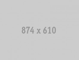 874x610